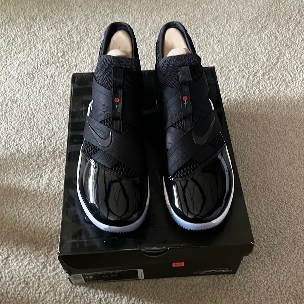 Lebron soldier xii SFG